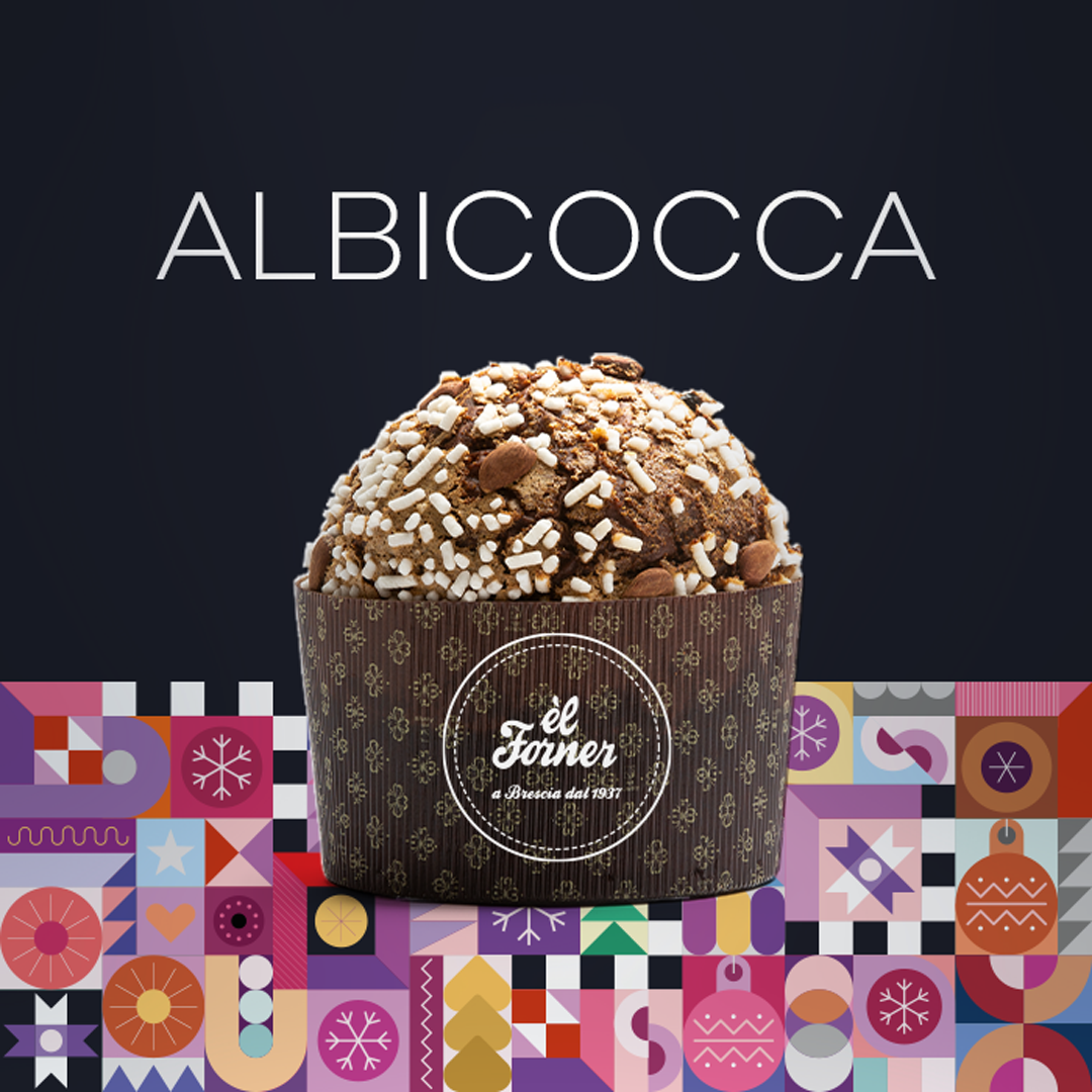 PT04-IL PANETTONE <br><strong> Albicocca </strong>