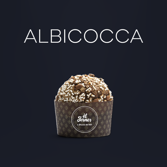 PT11-IL PANETTONE <br><strong> Albicocca </strong>