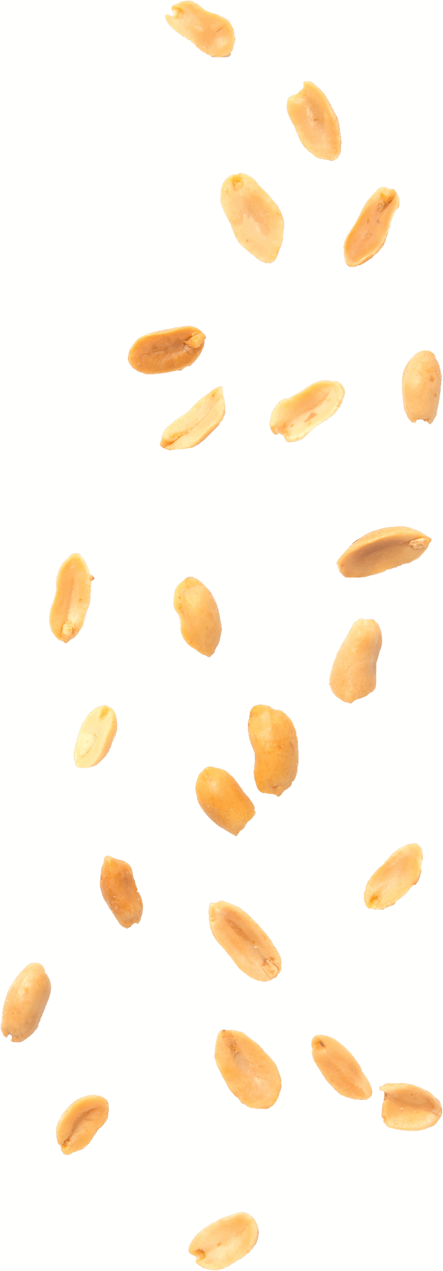 Èl Forner Brescia - grano